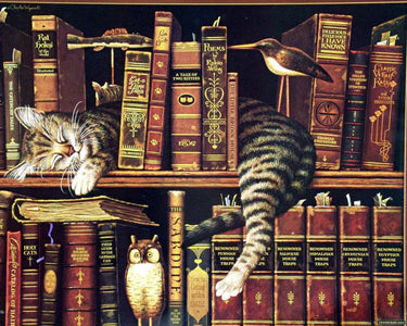 5d Cat Diamond Painting Kit Premium-51
